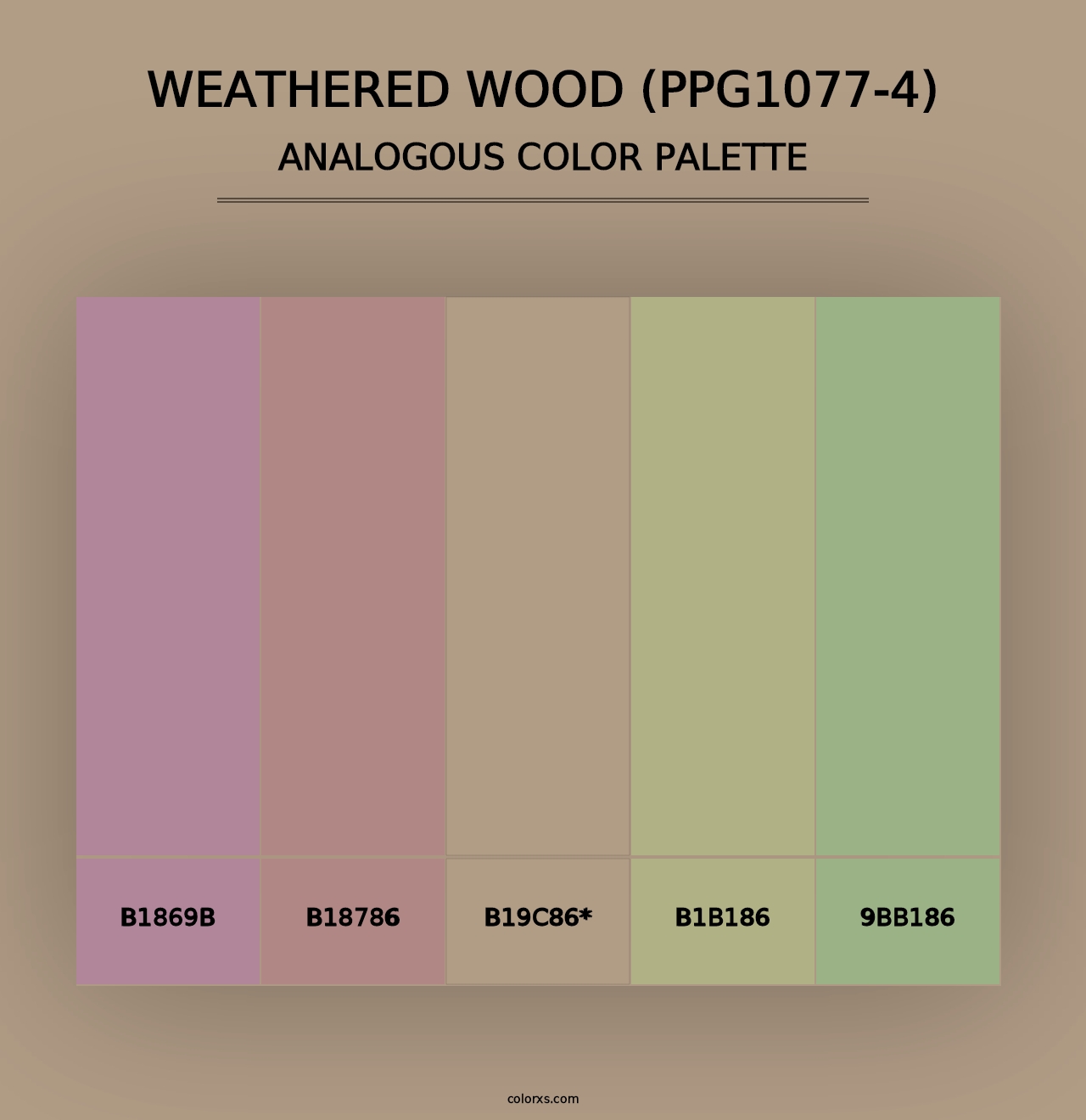 Weathered Wood (PPG1077-4) - Analogous Color Palette