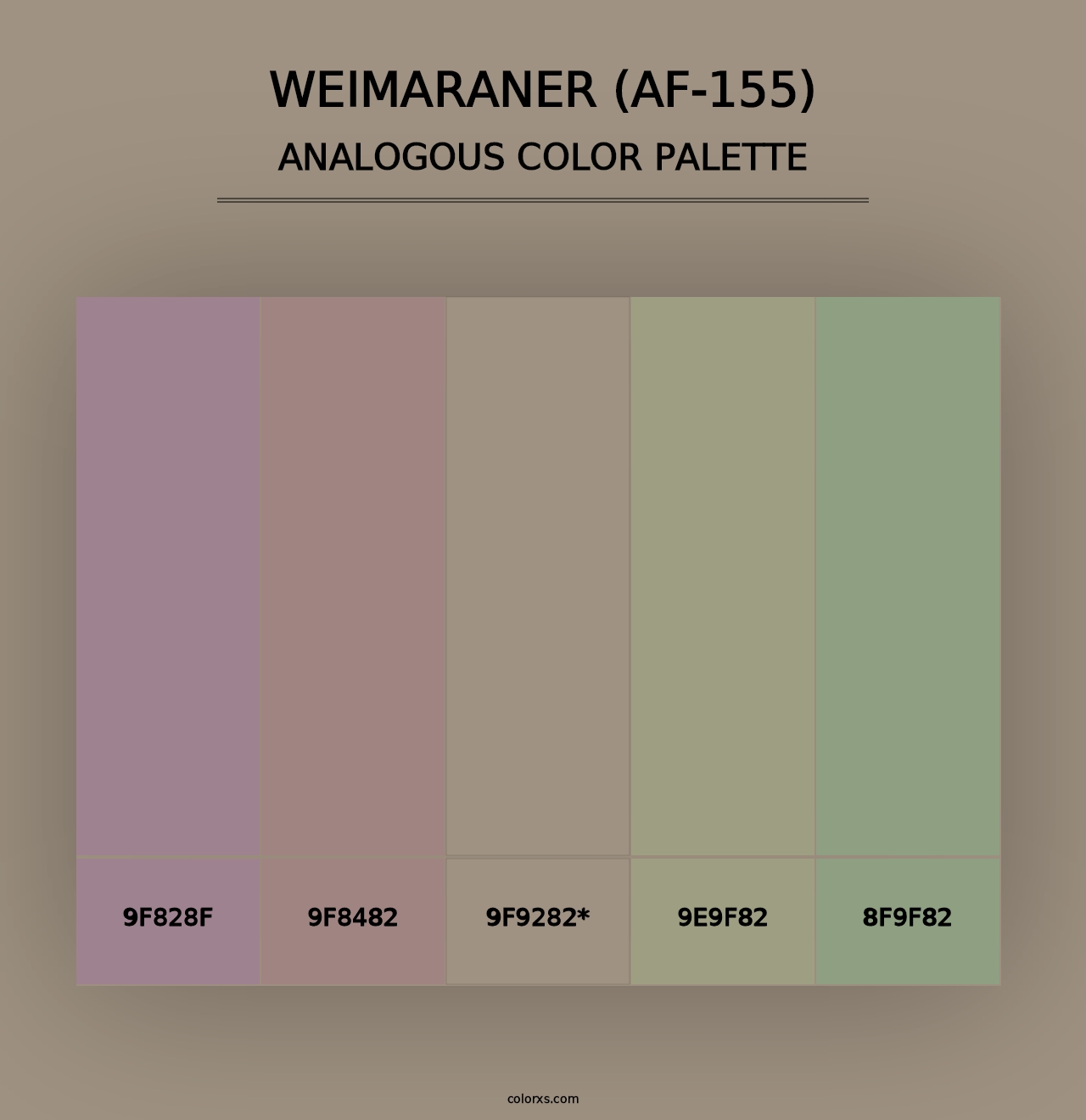 Weimaraner (AF-155) - Analogous Color Palette