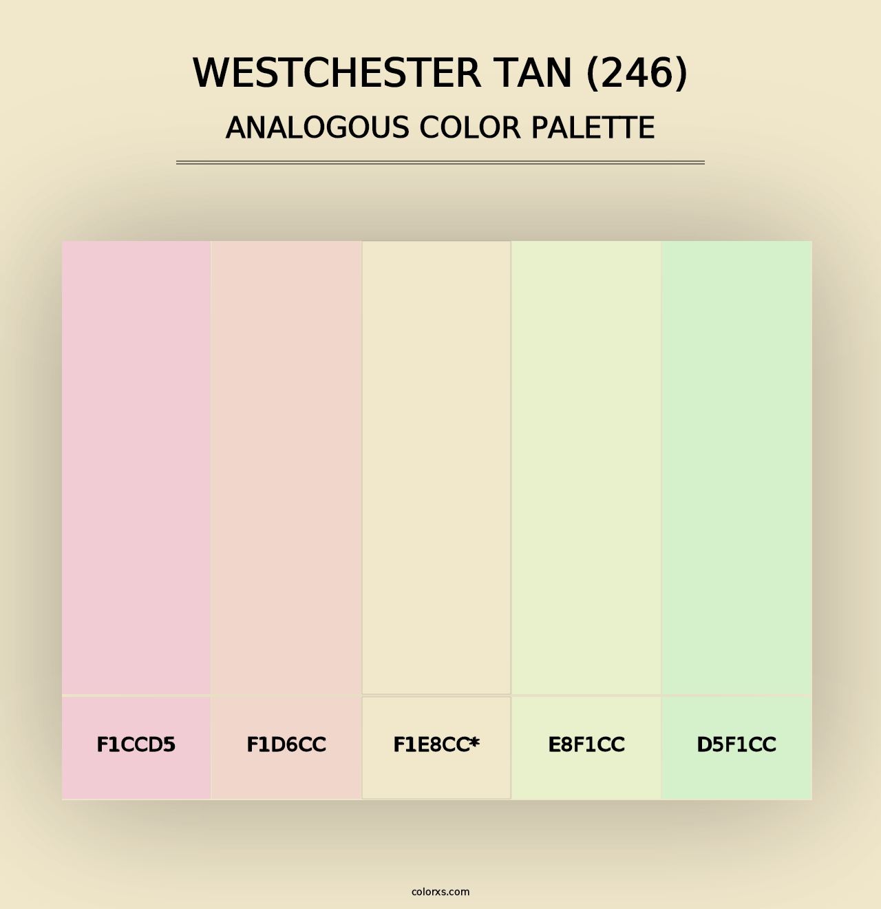 Westchester Tan (246) - Analogous Color Palette