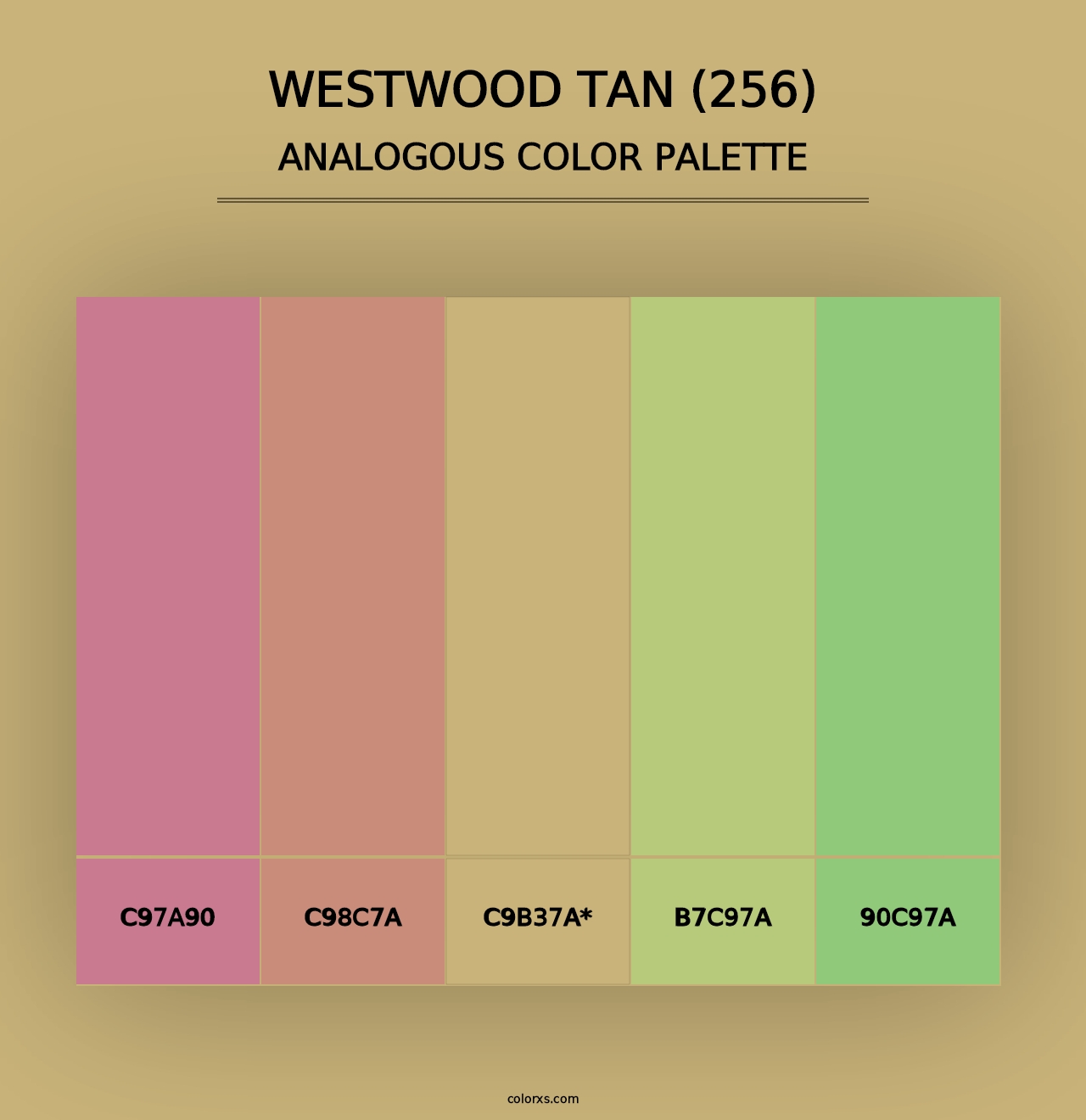 Westwood Tan (256) - Analogous Color Palette