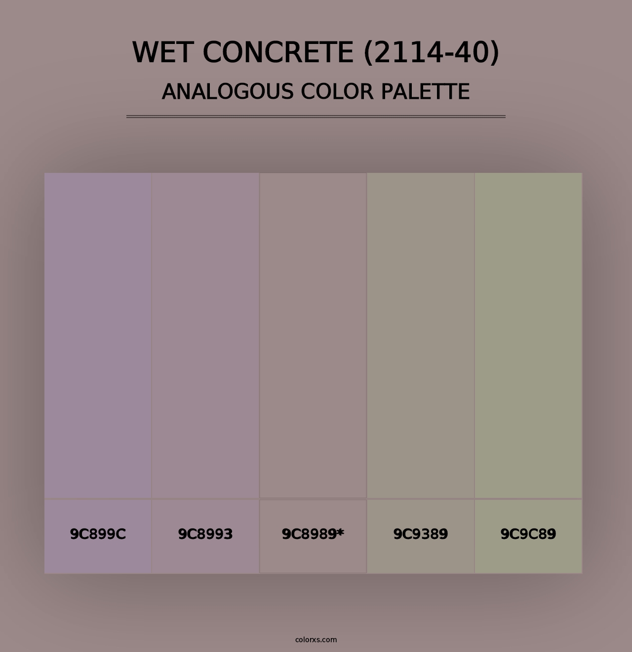 Wet Concrete (2114-40) - Analogous Color Palette