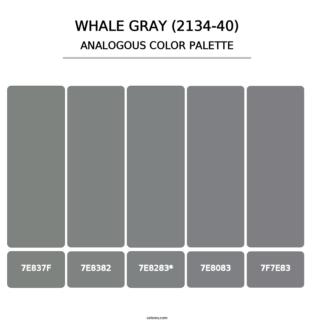 Whale Gray (2134-40) - Analogous Color Palette