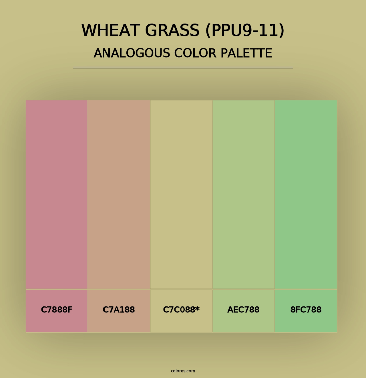 Wheat Grass (PPU9-11) - Analogous Color Palette