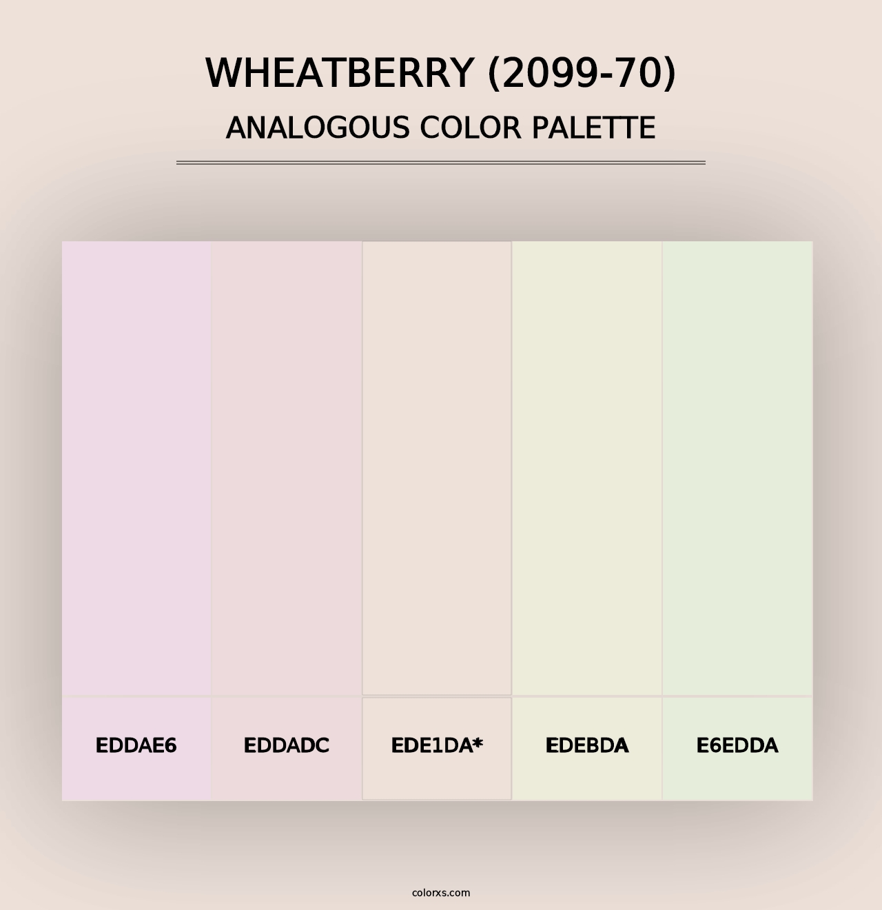 Wheatberry (2099-70) - Analogous Color Palette