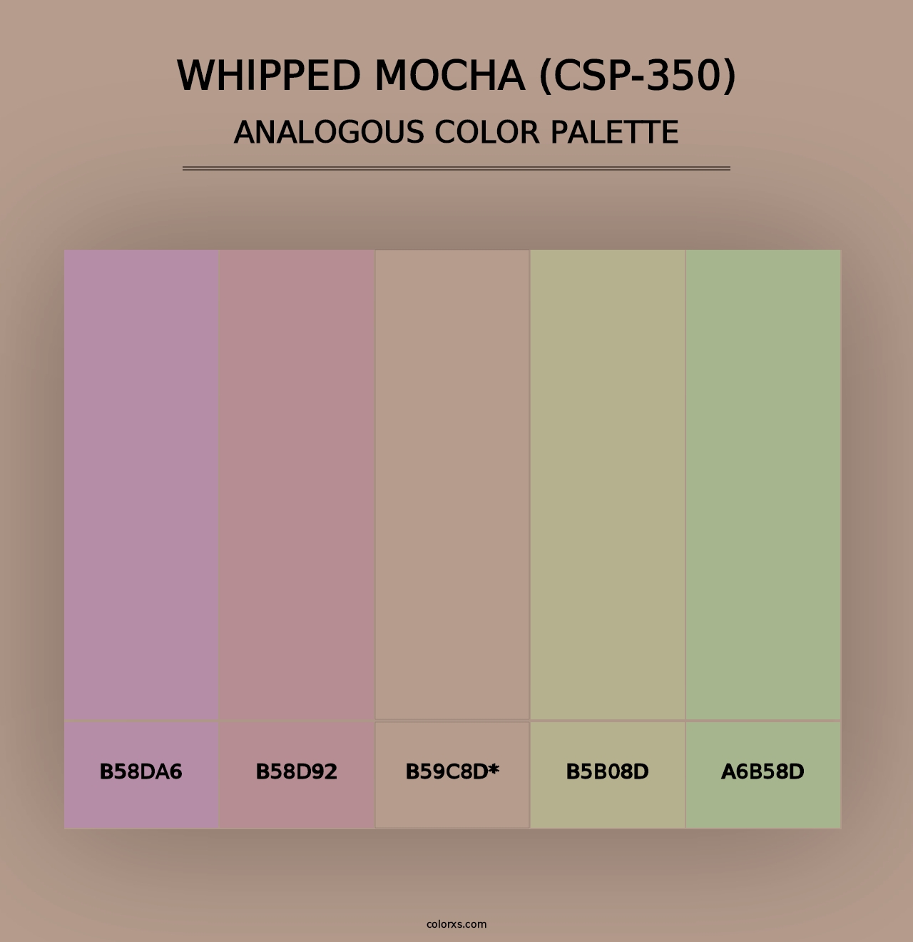 Whipped Mocha (CSP-350) - Analogous Color Palette