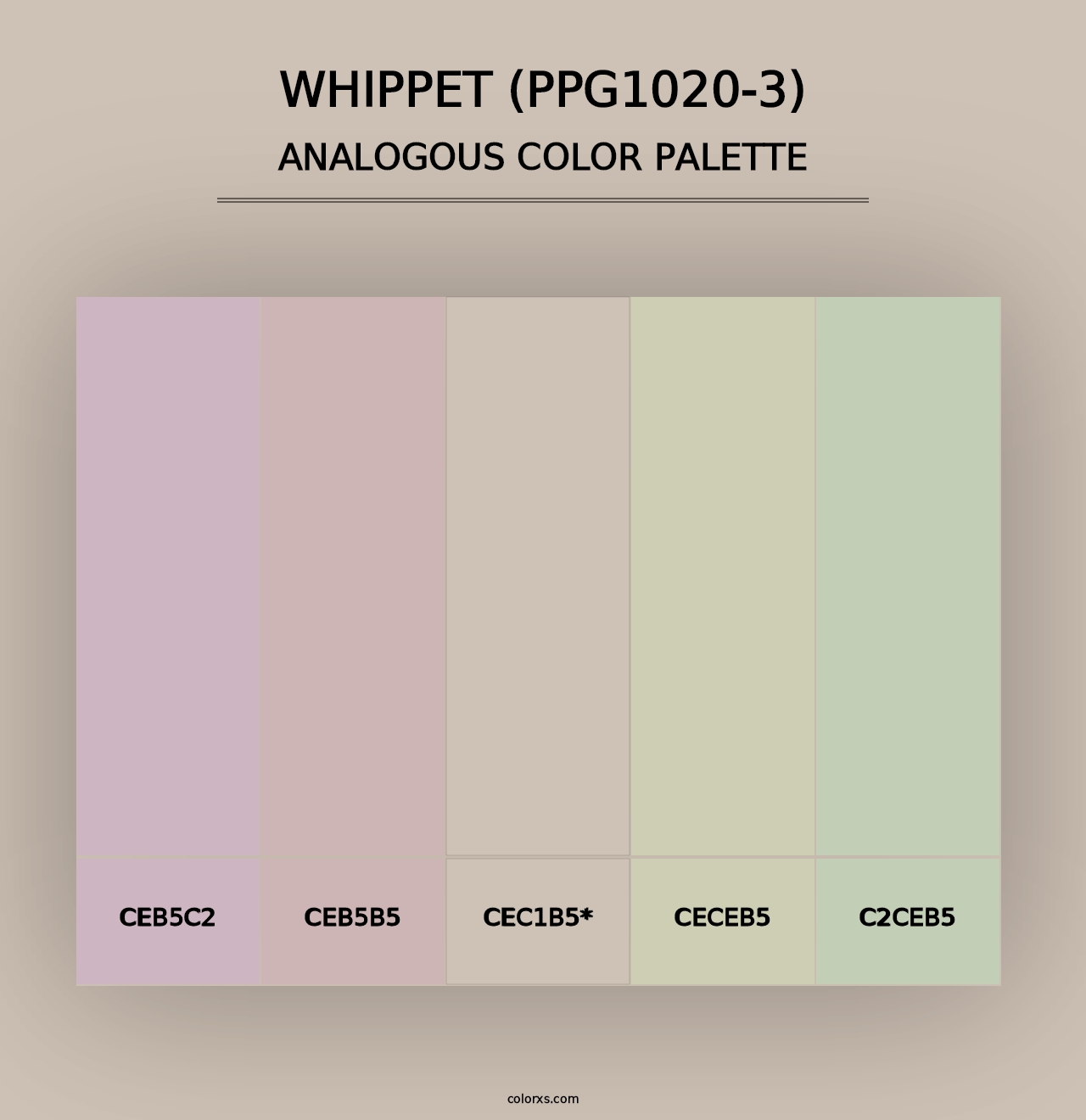 Whippet (PPG1020-3) - Analogous Color Palette