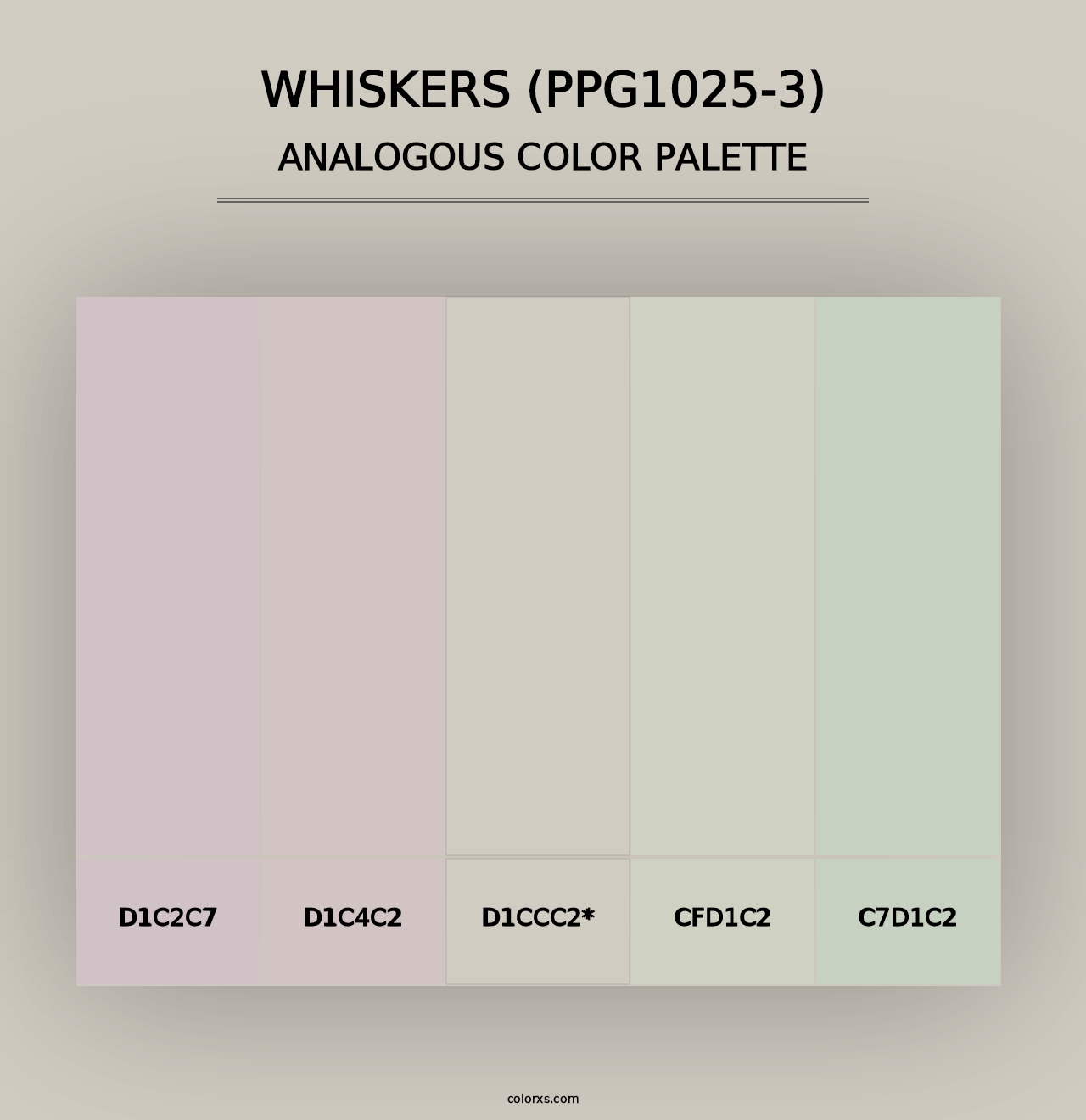 Whiskers (PPG1025-3) - Analogous Color Palette