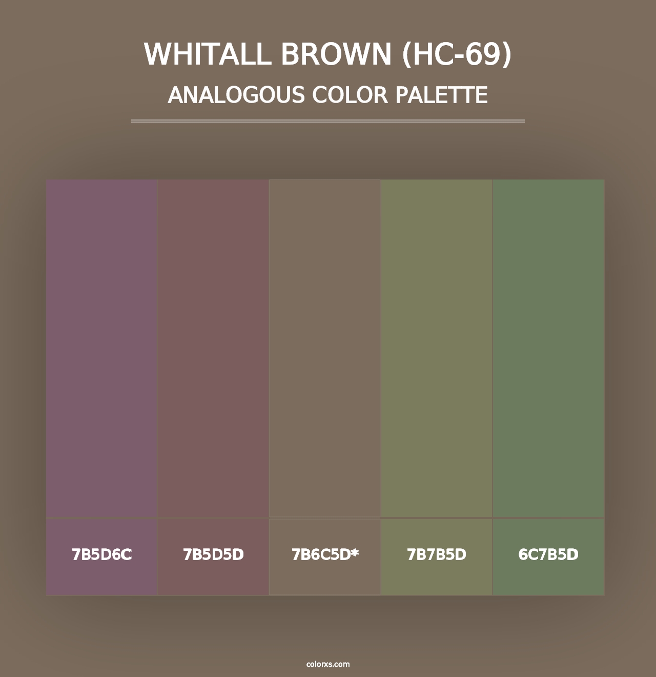 Whitall Brown (HC-69) - Analogous Color Palette