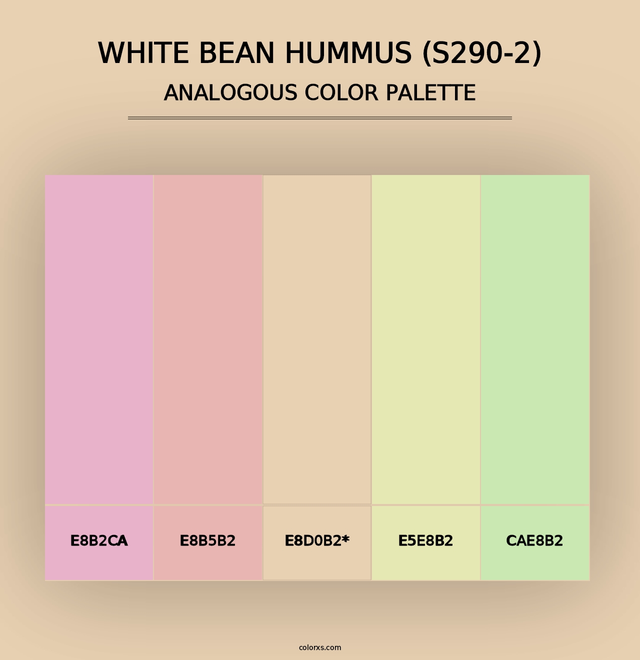 White Bean Hummus (S290-2) - Analogous Color Palette