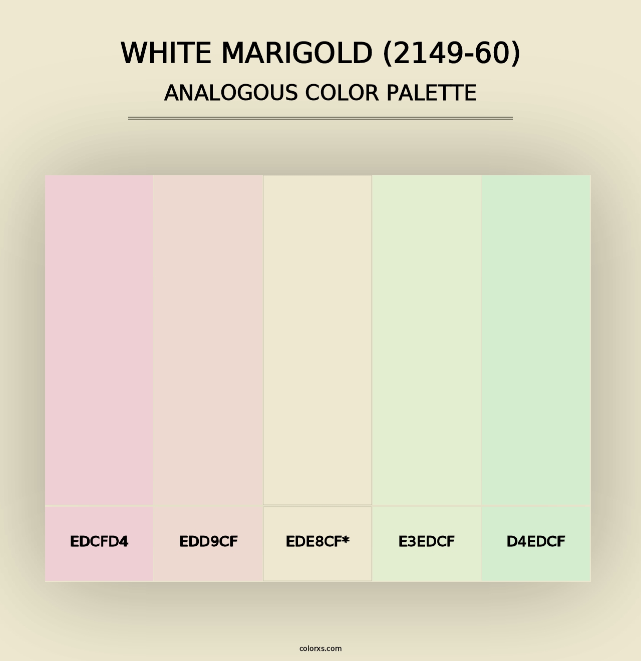 White Marigold (2149-60) - Analogous Color Palette