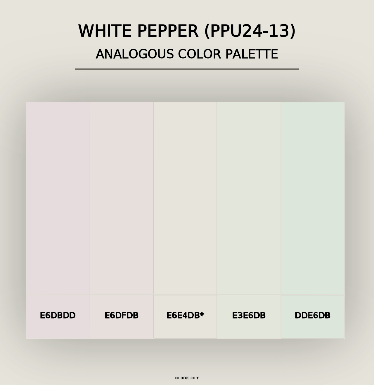 White Pepper (PPU24-13) - Analogous Color Palette