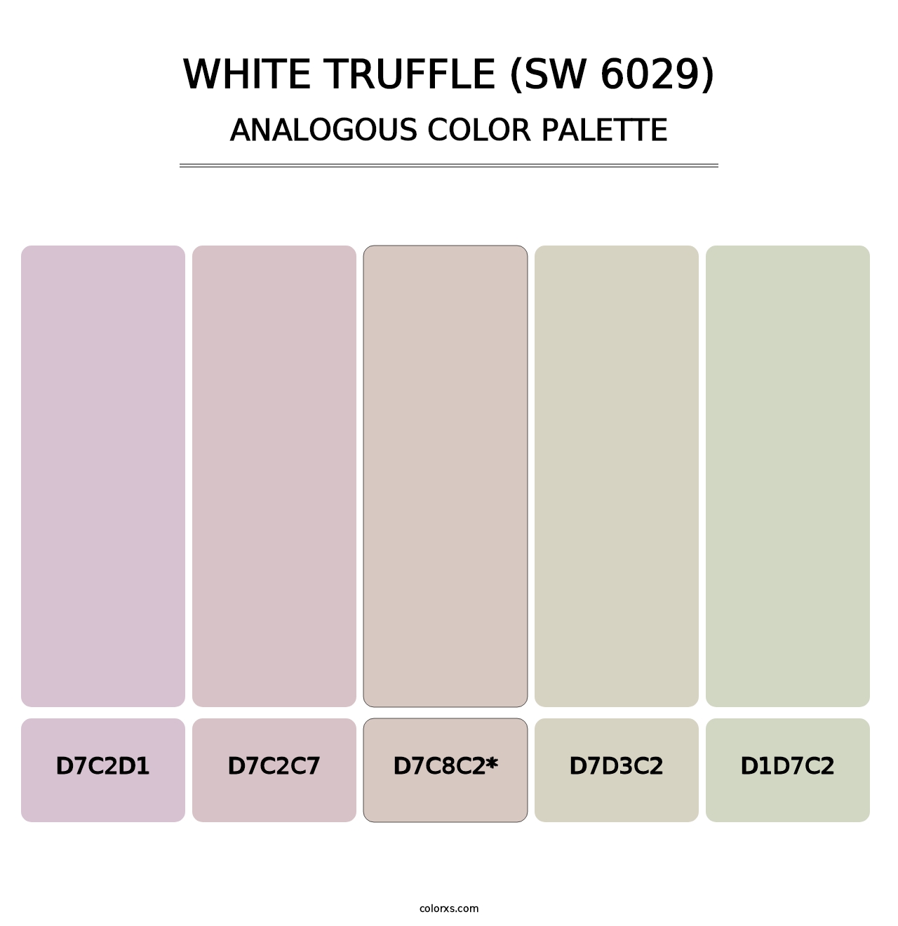 White Truffle (SW 6029) - Analogous Color Palette