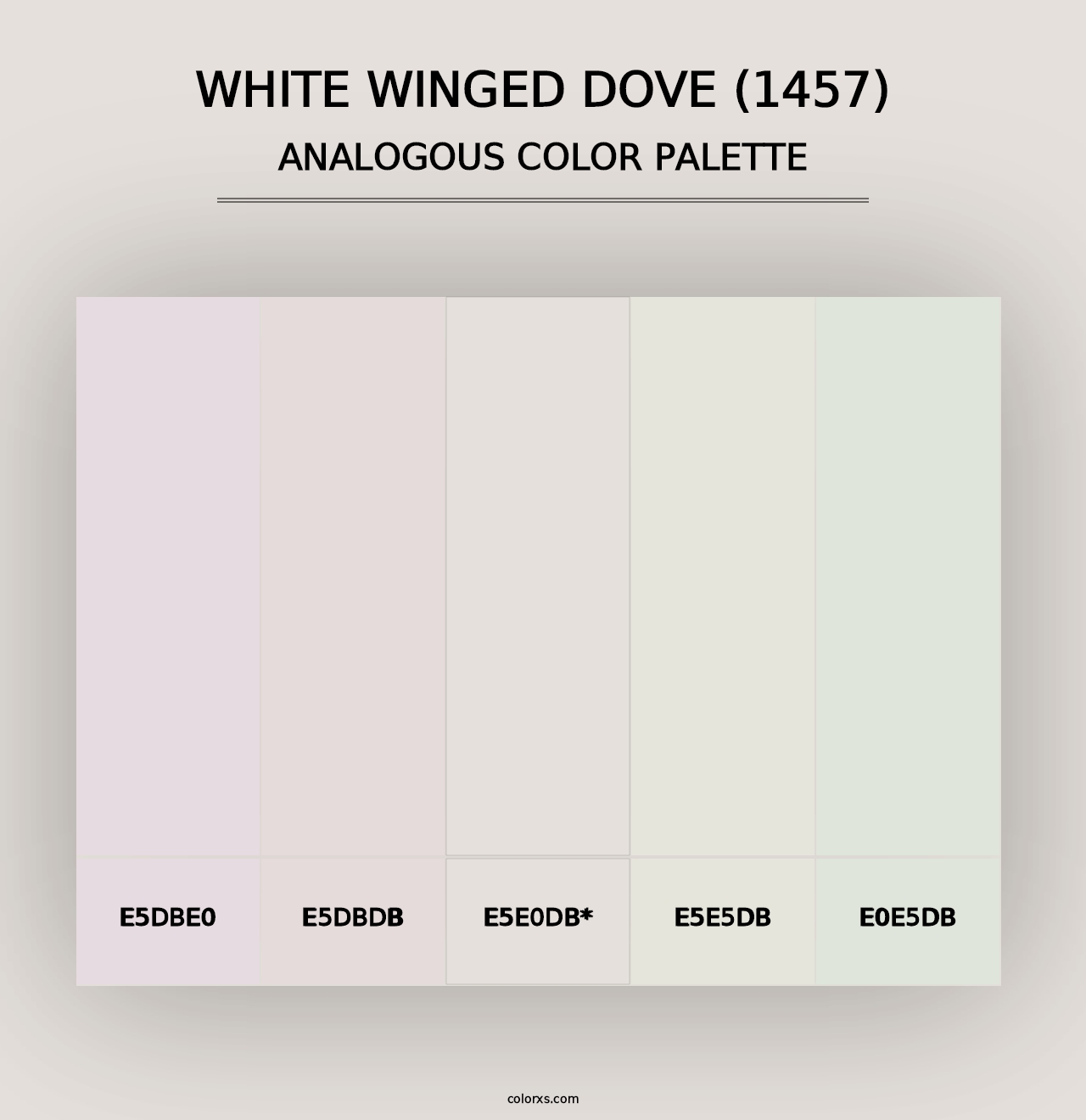 White Winged Dove (1457) - Analogous Color Palette