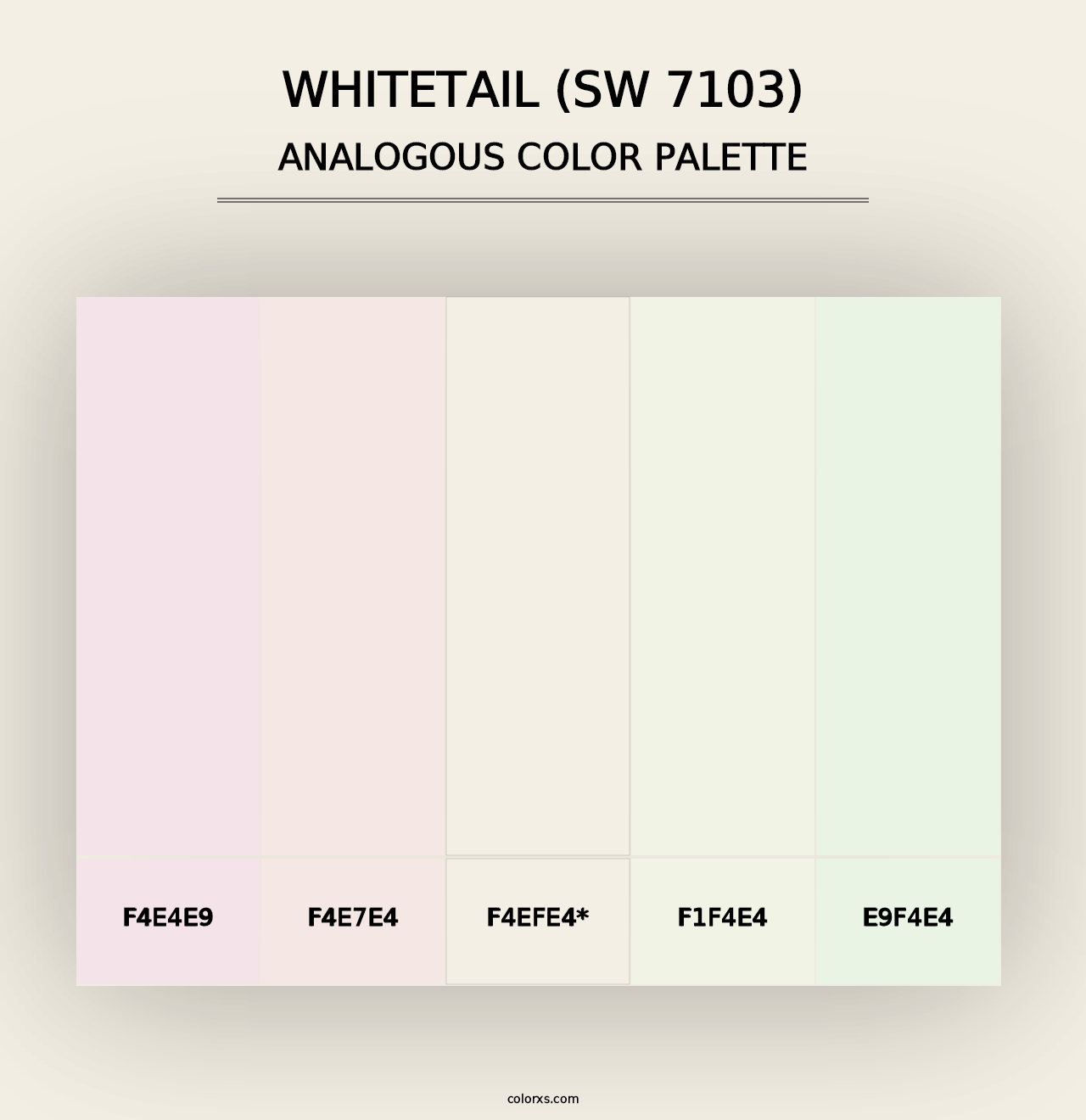 Whitetail (SW 7103) - Analogous Color Palette