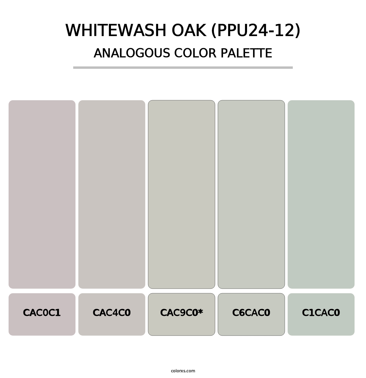 Whitewash Oak (PPU24-12) - Analogous Color Palette