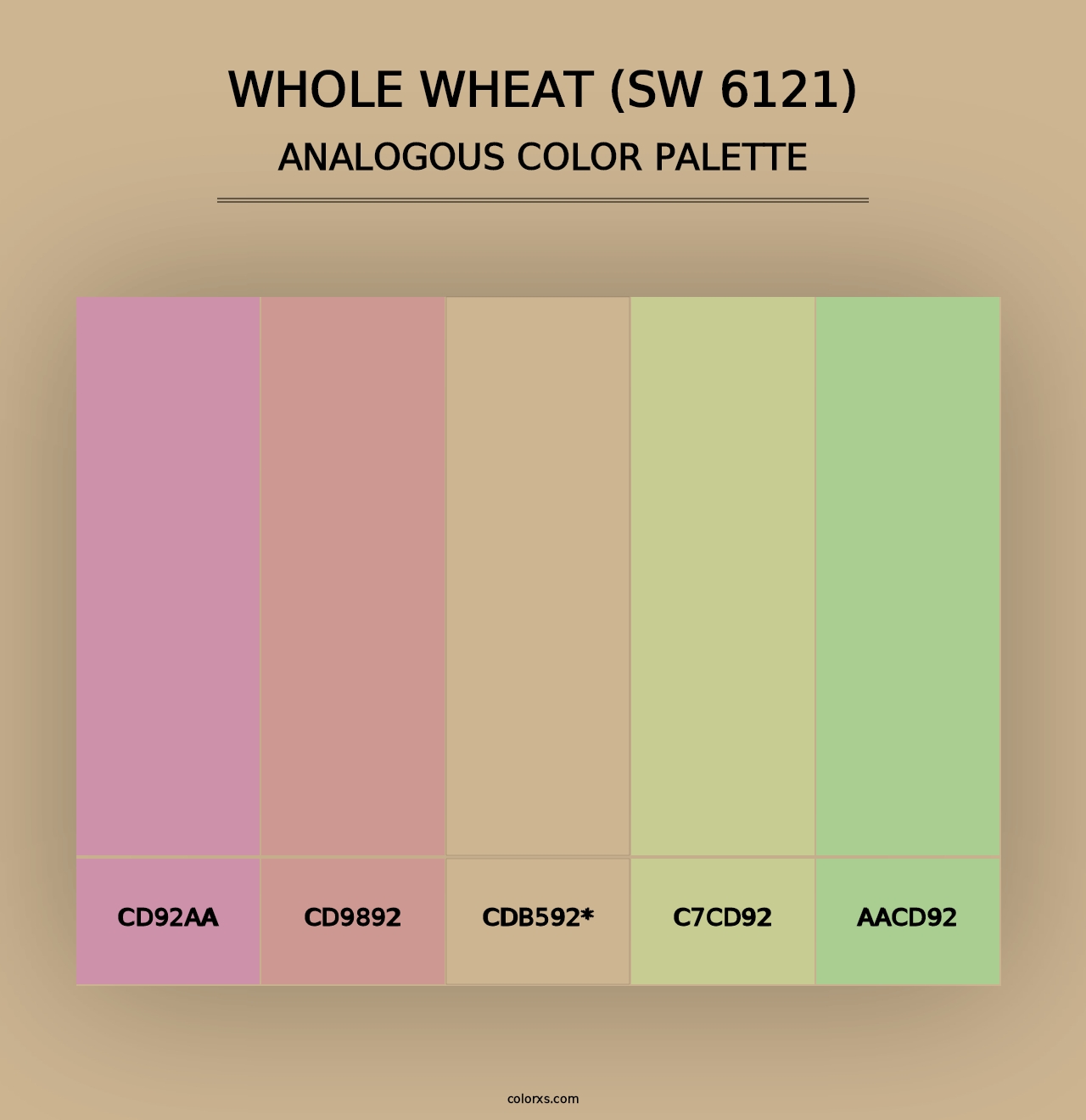 Whole Wheat (SW 6121) - Analogous Color Palette