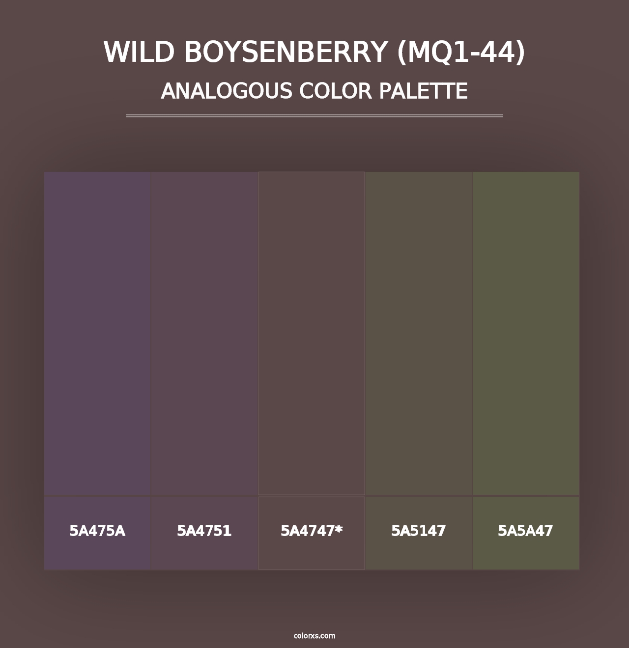 Wild Boysenberry (MQ1-44) - Analogous Color Palette