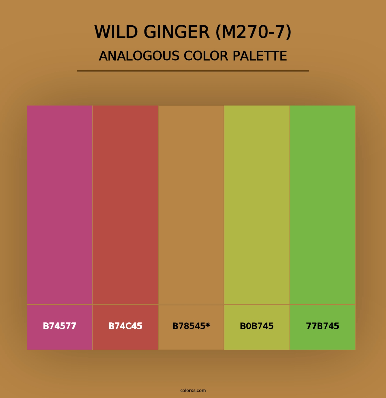 Wild Ginger (M270-7) - Analogous Color Palette