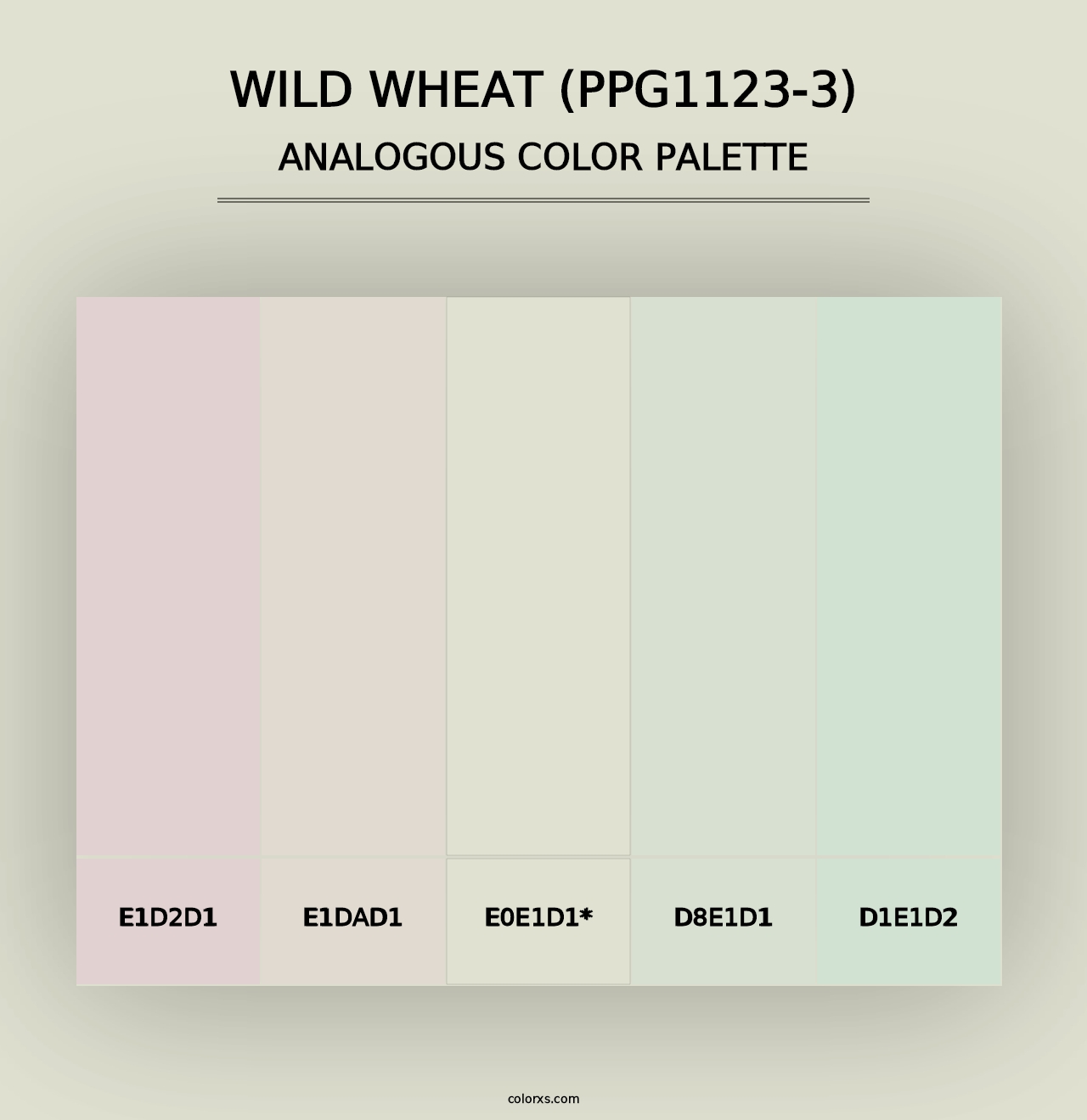 Wild Wheat (PPG1123-3) - Analogous Color Palette