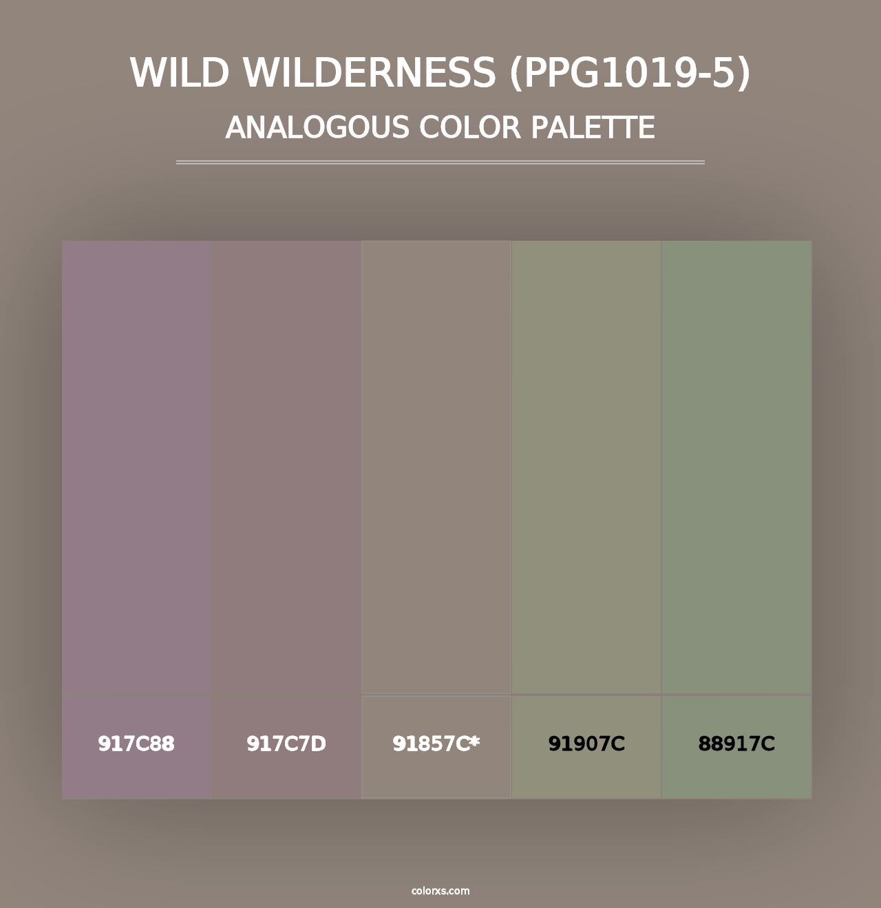 Wild Wilderness (PPG1019-5) - Analogous Color Palette