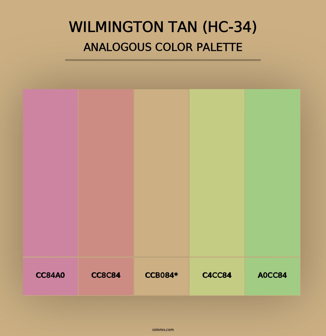 Wilmington Tan (HC-34) - Analogous Color Palette