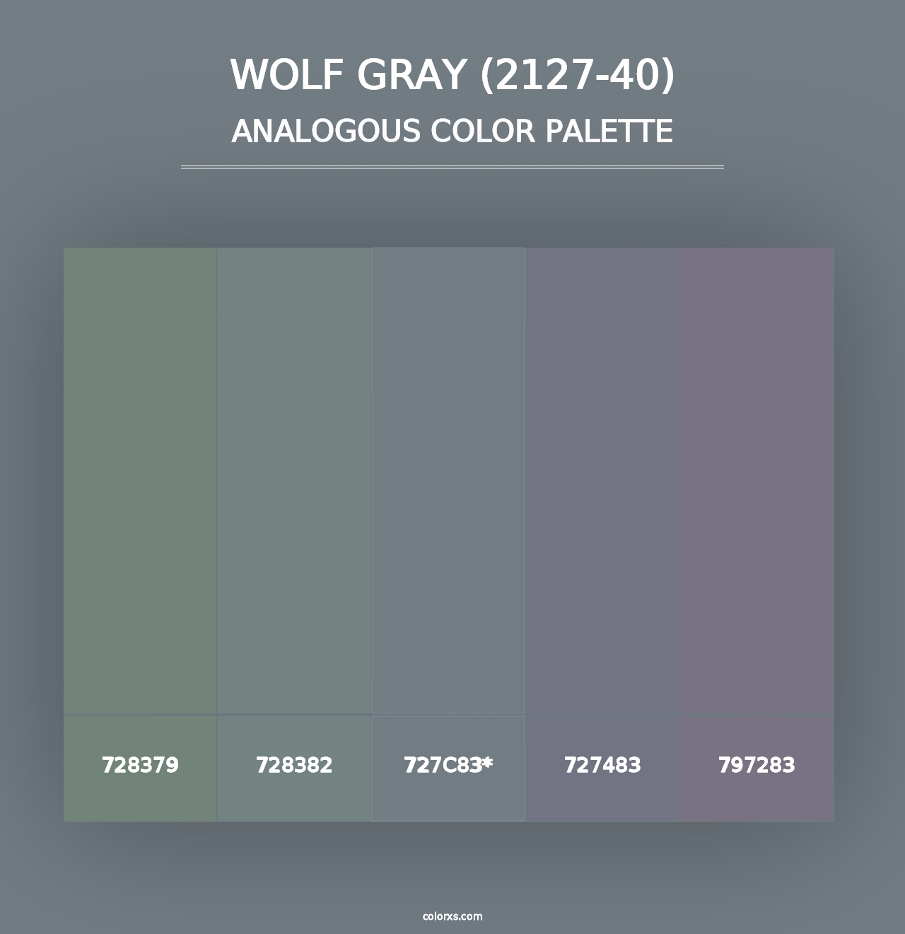 Wolf Gray (2127-40) - Analogous Color Palette