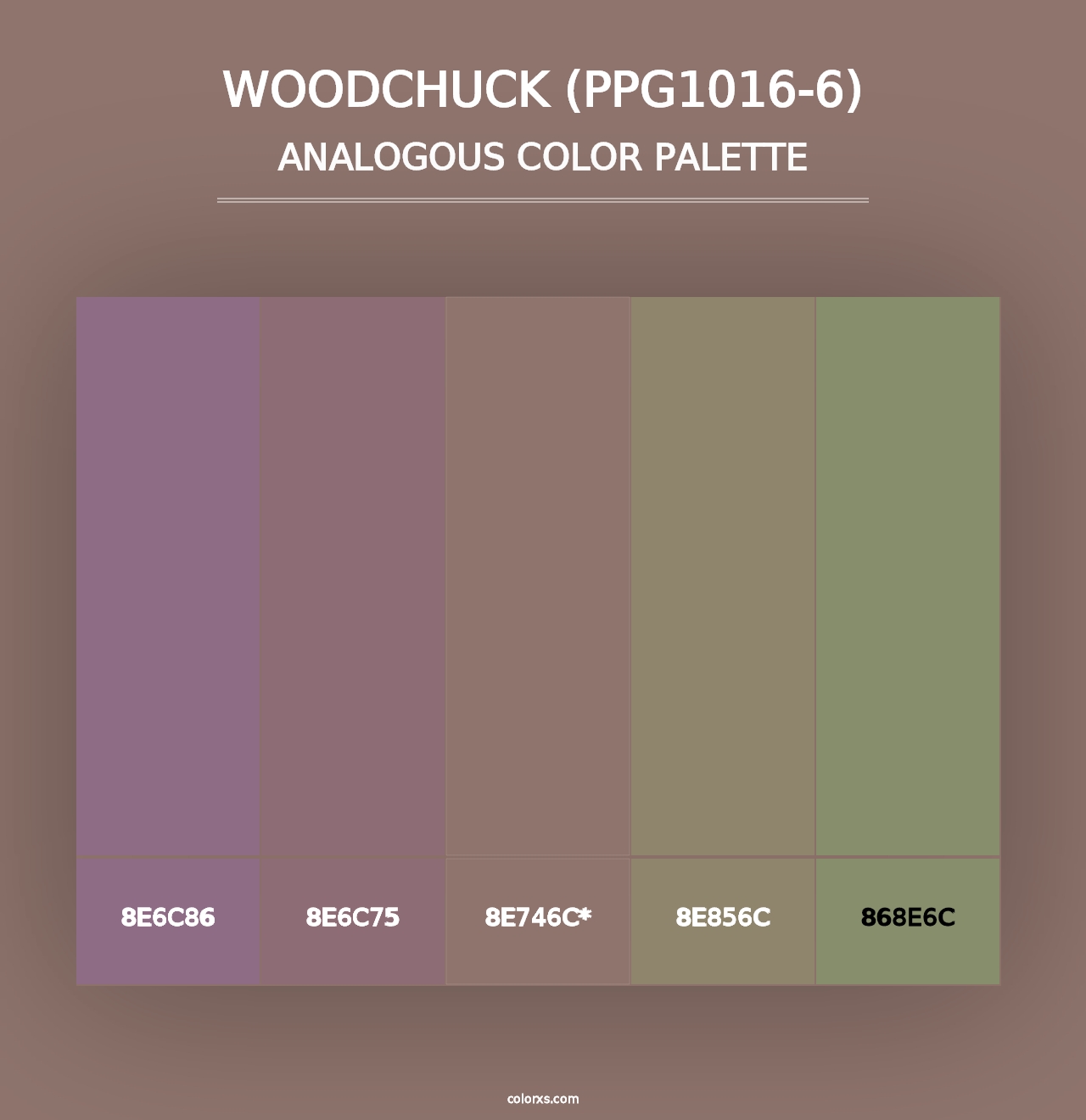 Woodchuck (PPG1016-6) - Analogous Color Palette