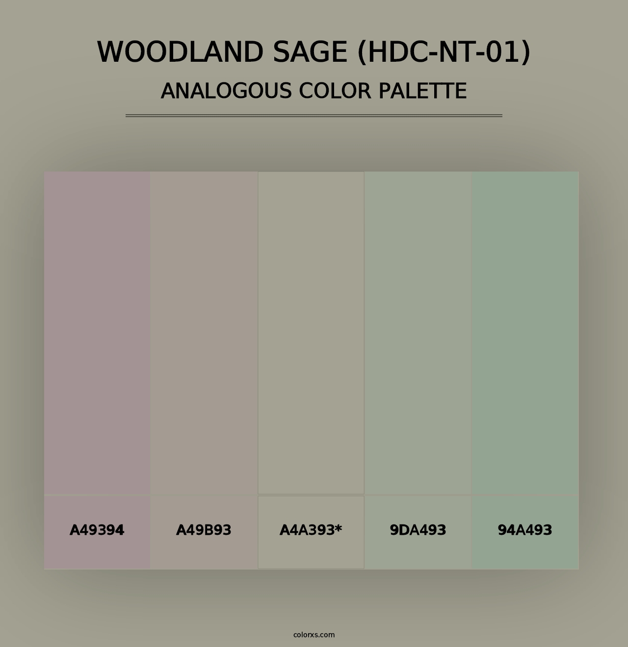 Woodland Sage (HDC-NT-01) - Analogous Color Palette