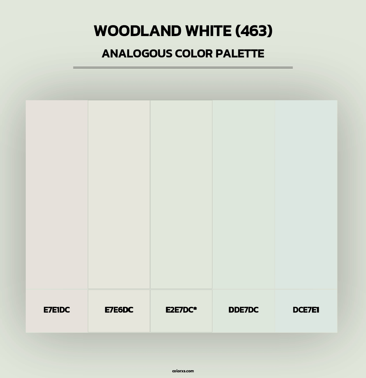 Woodland White (463) - Analogous Color Palette