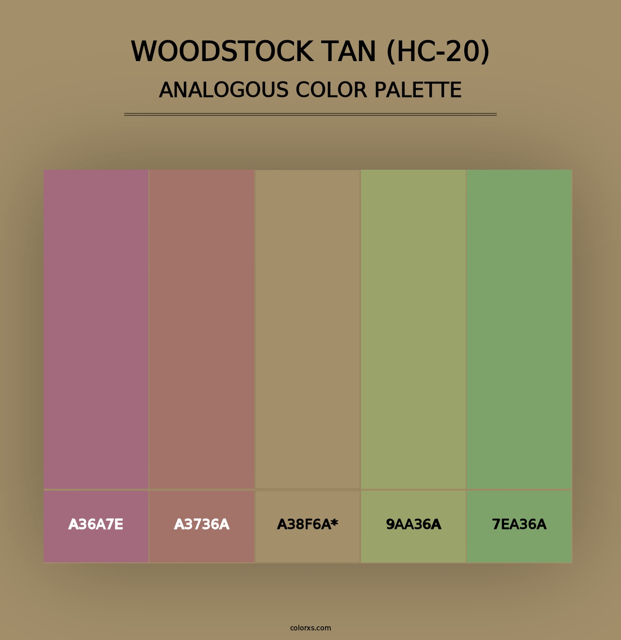 Woodstock Tan (HC-20) - Analogous Color Palette