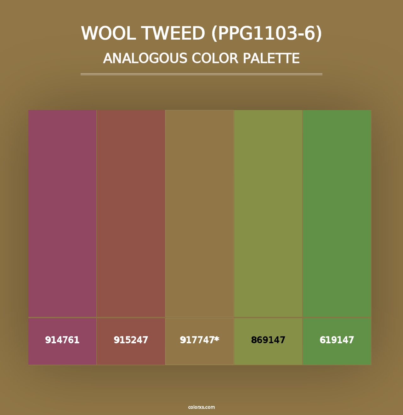 Wool Tweed (PPG1103-6) - Analogous Color Palette