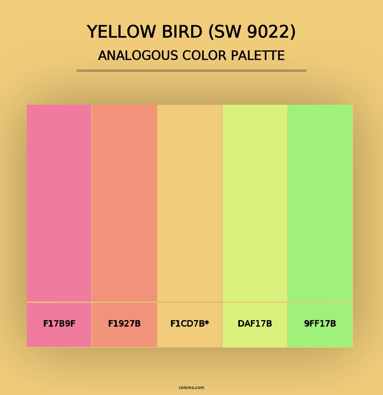 Yellow Bird (SW 9022) - Analogous Color Palette