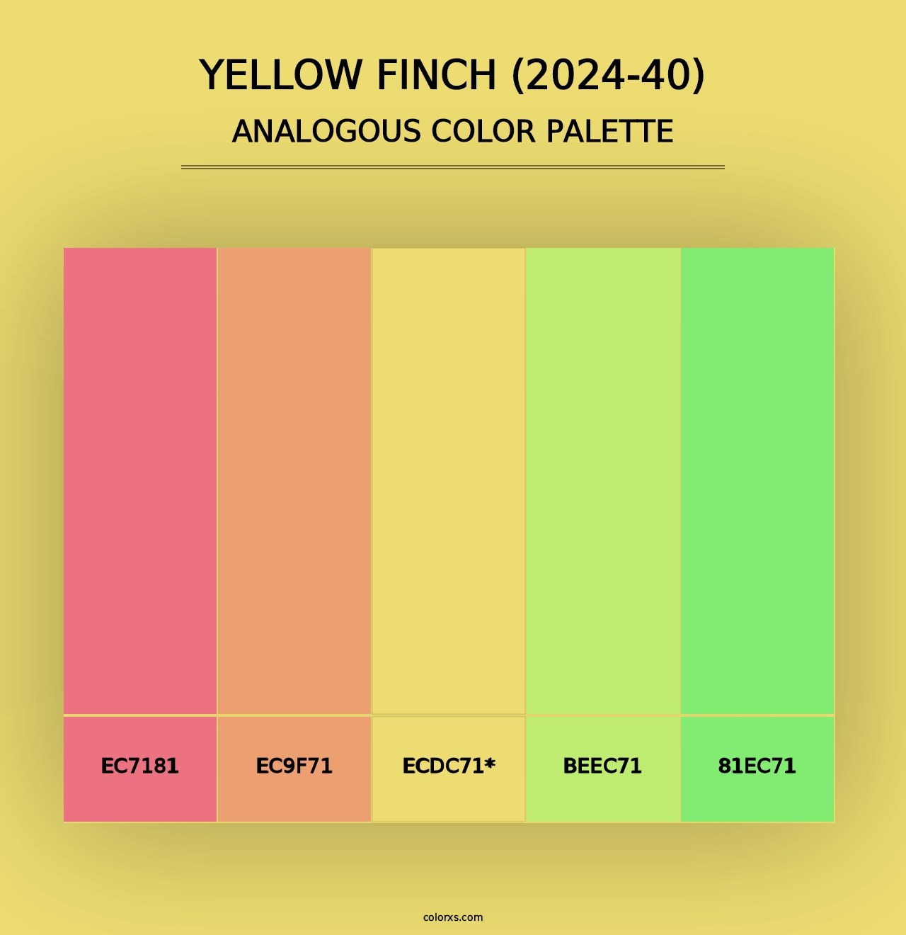 Yellow Finch (2024-40) - Analogous Color Palette