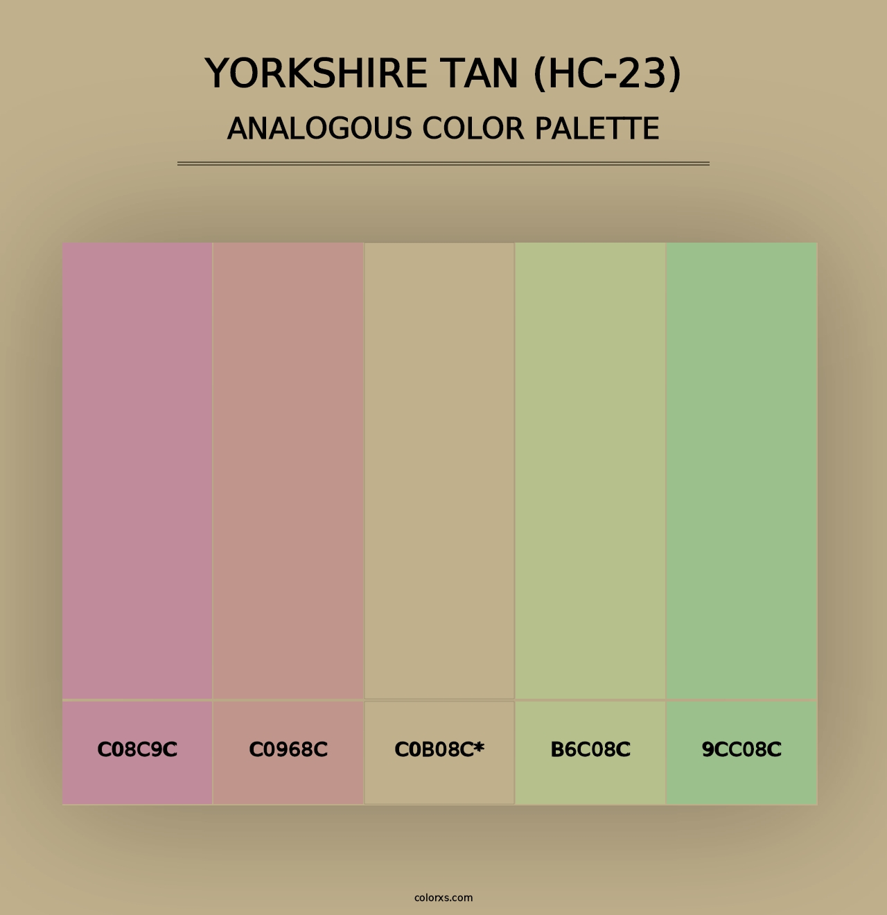 Yorkshire Tan (HC-23) - Analogous Color Palette