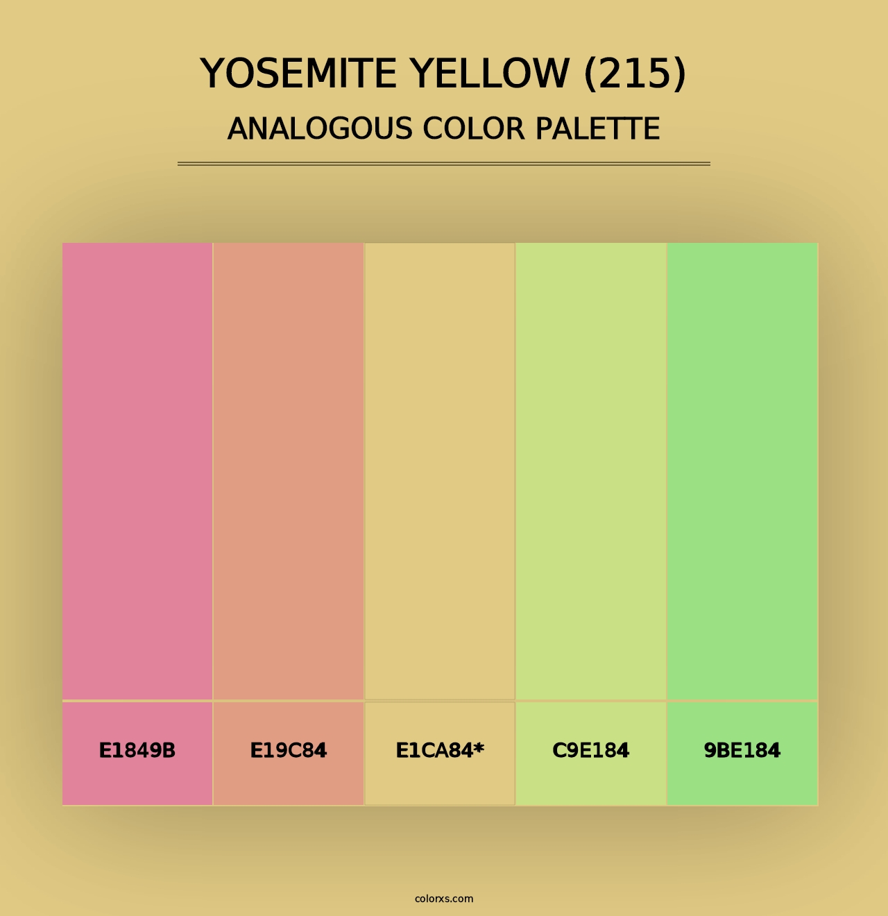 Yosemite Yellow (215) - Analogous Color Palette