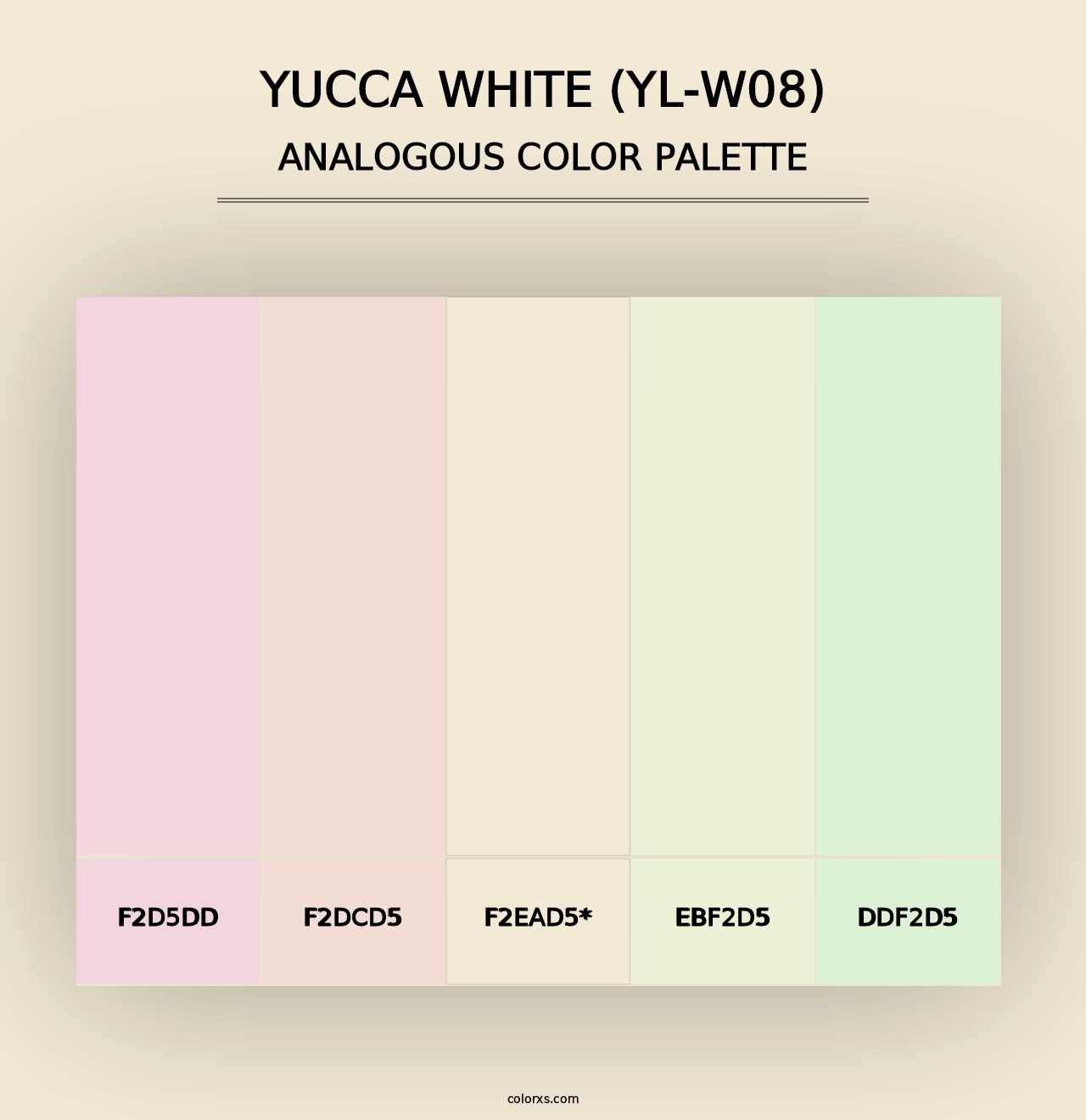 Yucca White (YL-W08) - Analogous Color Palette