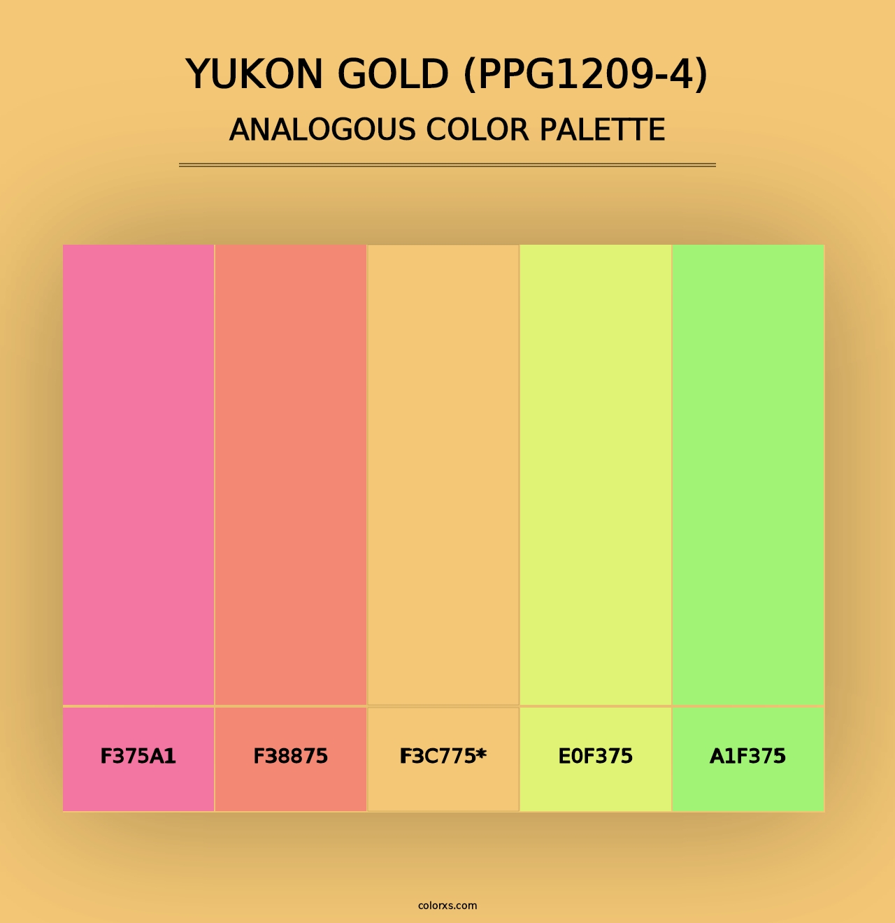 Yukon Gold (PPG1209-4) - Analogous Color Palette