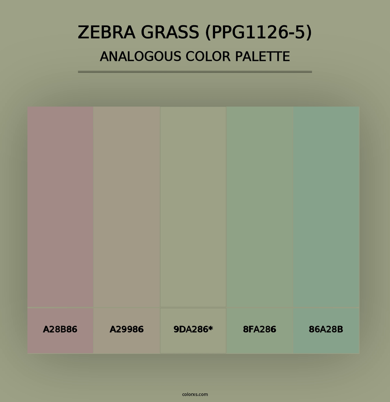 Zebra Grass (PPG1126-5) - Analogous Color Palette