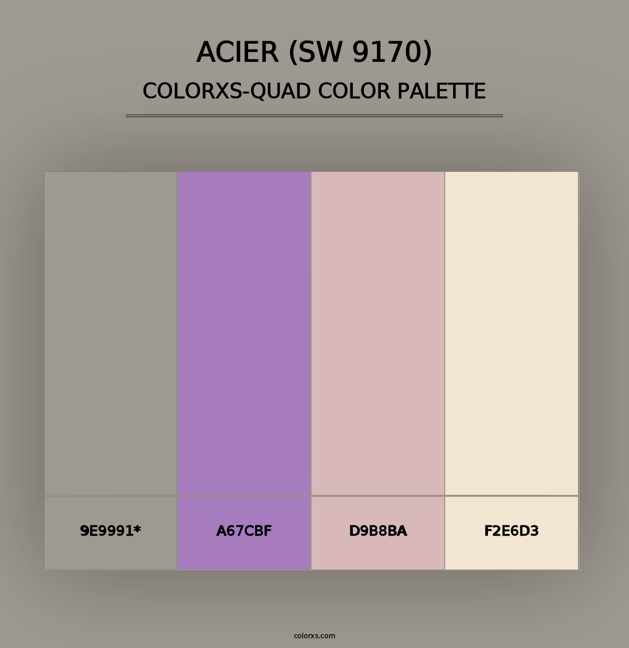 Acier (SW 9170) - Colorxs Quad Palette