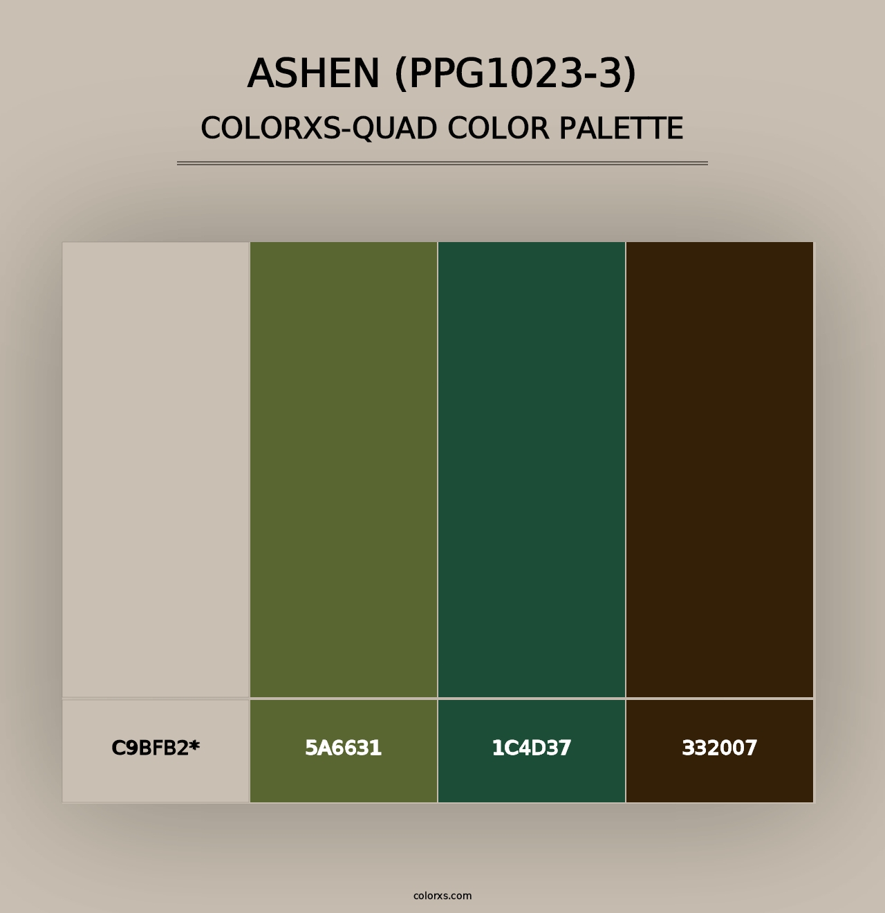 Ashen (PPG1023-3) - Colorxs Quad Palette