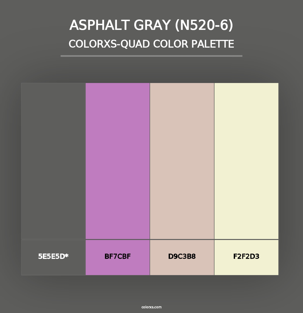 Asphalt Gray (N520-6) - Colorxs Quad Palette