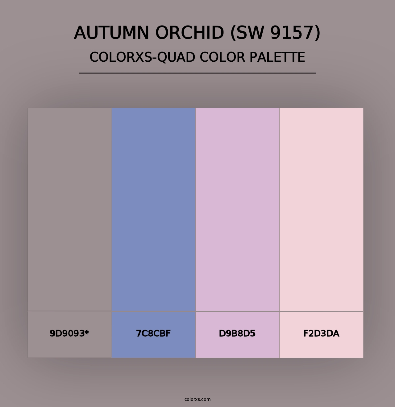 Autumn Orchid (SW 9157) - Colorxs Quad Palette