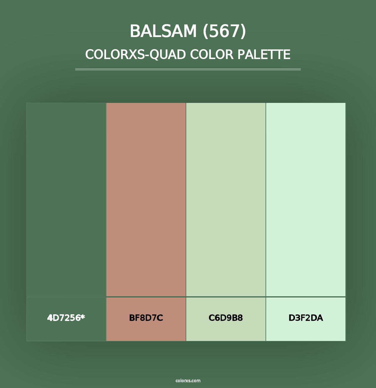 Balsam (567) - Colorxs Quad Palette