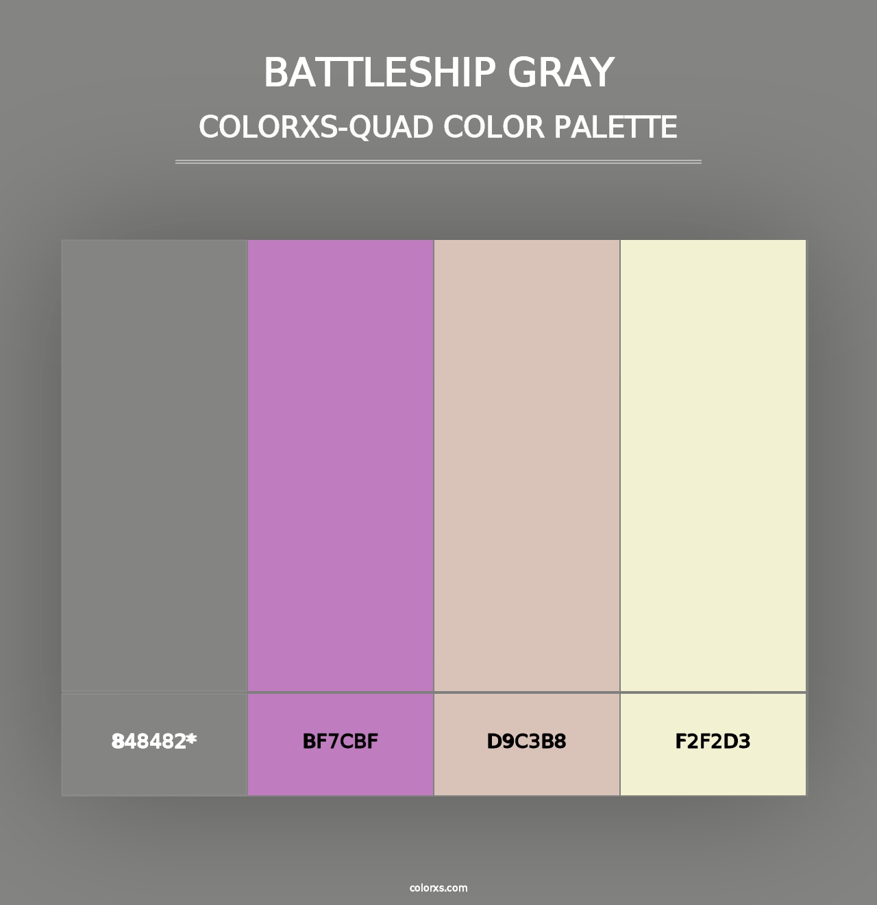 Battleship Gray - Colorxs Quad Palette