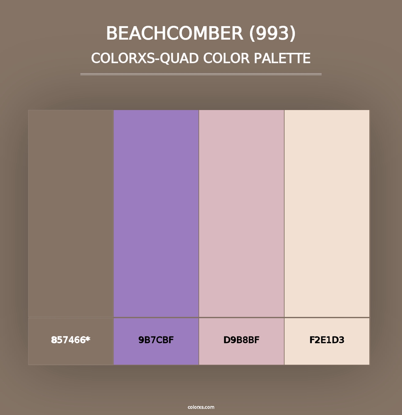 Beachcomber (993) - Colorxs Quad Palette