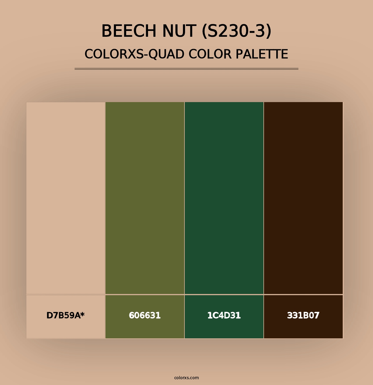 Beech Nut (S230-3) - Colorxs Quad Palette