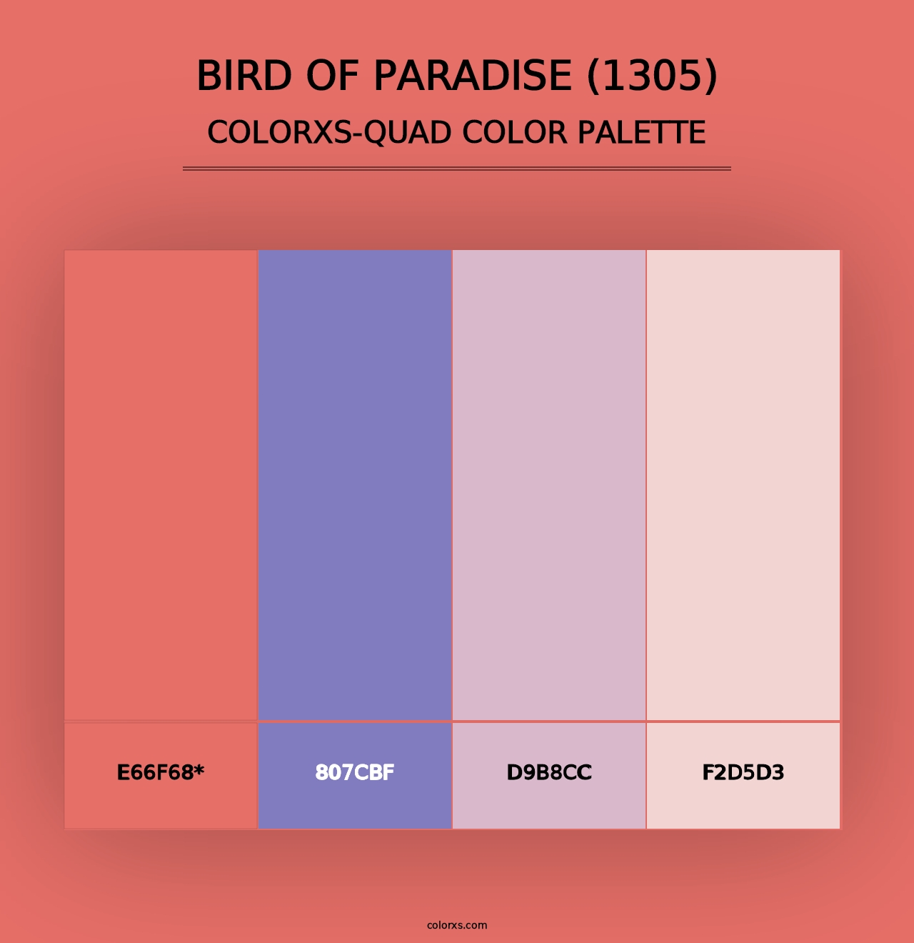 Bird of Paradise (1305) - Colorxs Quad Palette