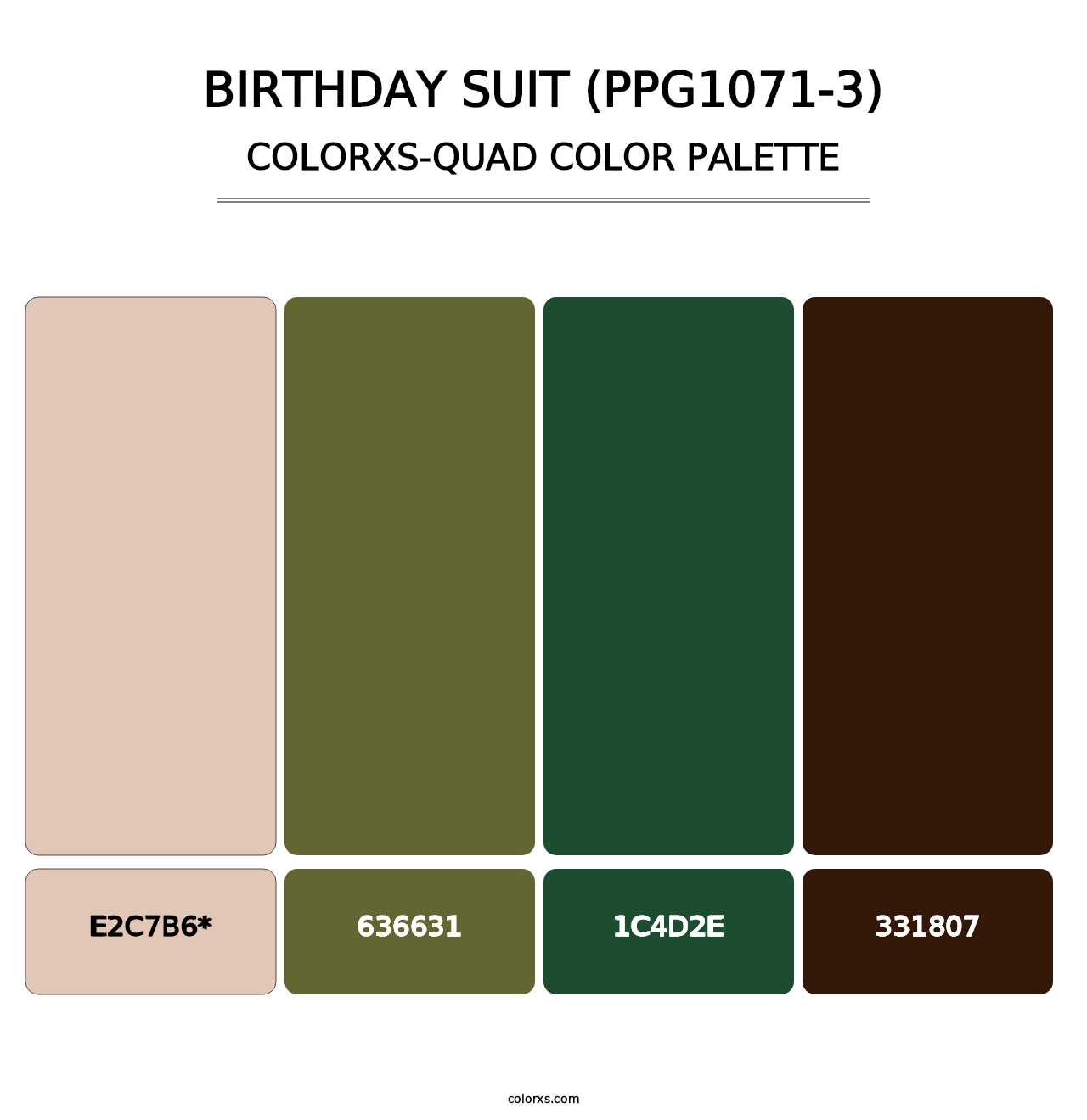 Birthday Suit (PPG1071-3) - Colorxs Quad Palette