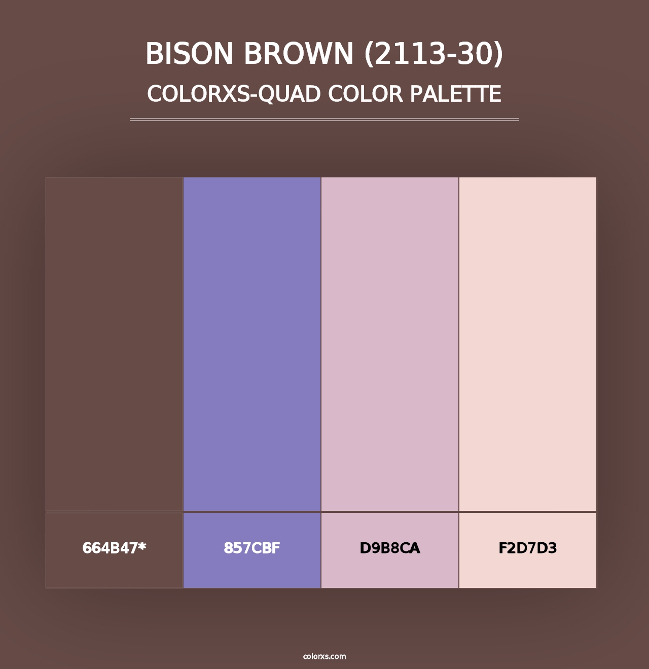 Bison Brown (2113-30) - Colorxs Quad Palette