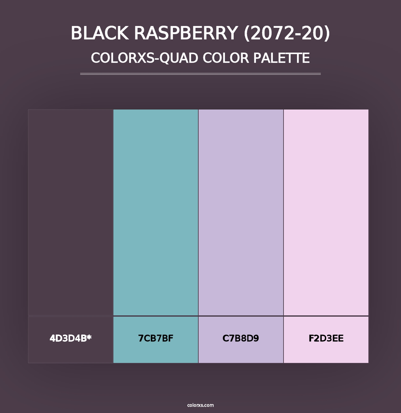 Black Raspberry (2072-20) - Colorxs Quad Palette